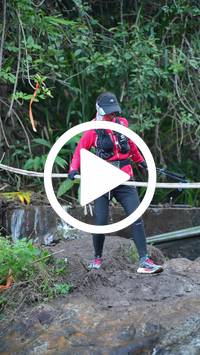 BIB:  <button type="button" onclick="openModal(27706585)" class="btn btn-primary btn-sm float-right" data-toggle="modal" data-target=".modal-high-quality">
                <i class="fa fa-download"></i> Download
                </button>